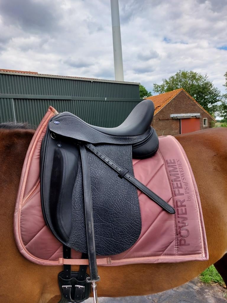 Zadelpasservice, nieuwe en tweedehands zadels., Dieren en Toebehoren, Paarden en Pony's | Zadels, Ophalen, Nieuw