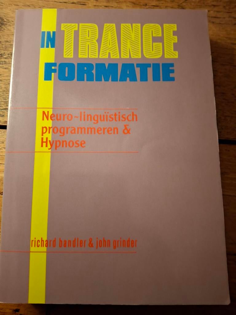 R. Bandler& J. Grinder. In Trance Formatie., Ophalen of Verzenden, Zo goed als nieuw
