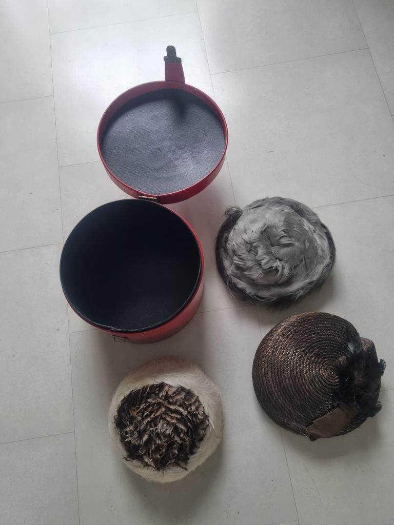 Vintage Hoeden met Veren in Hoedendoos, Hoed, Vintage, Gedragen, One size fits all