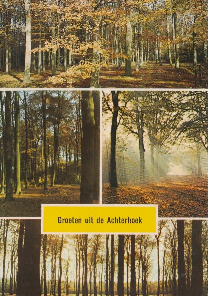 ACHTERHOEK Bosgezichten Groeten, Verzenden, 1980 tot heden, Ongelopen, Gelderland