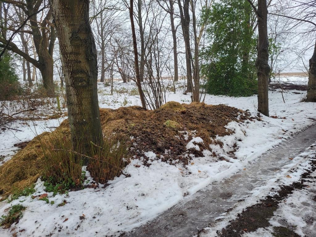Gratis af te halen biologische paardenmest, Dieren en Toebehoren, Ophalen