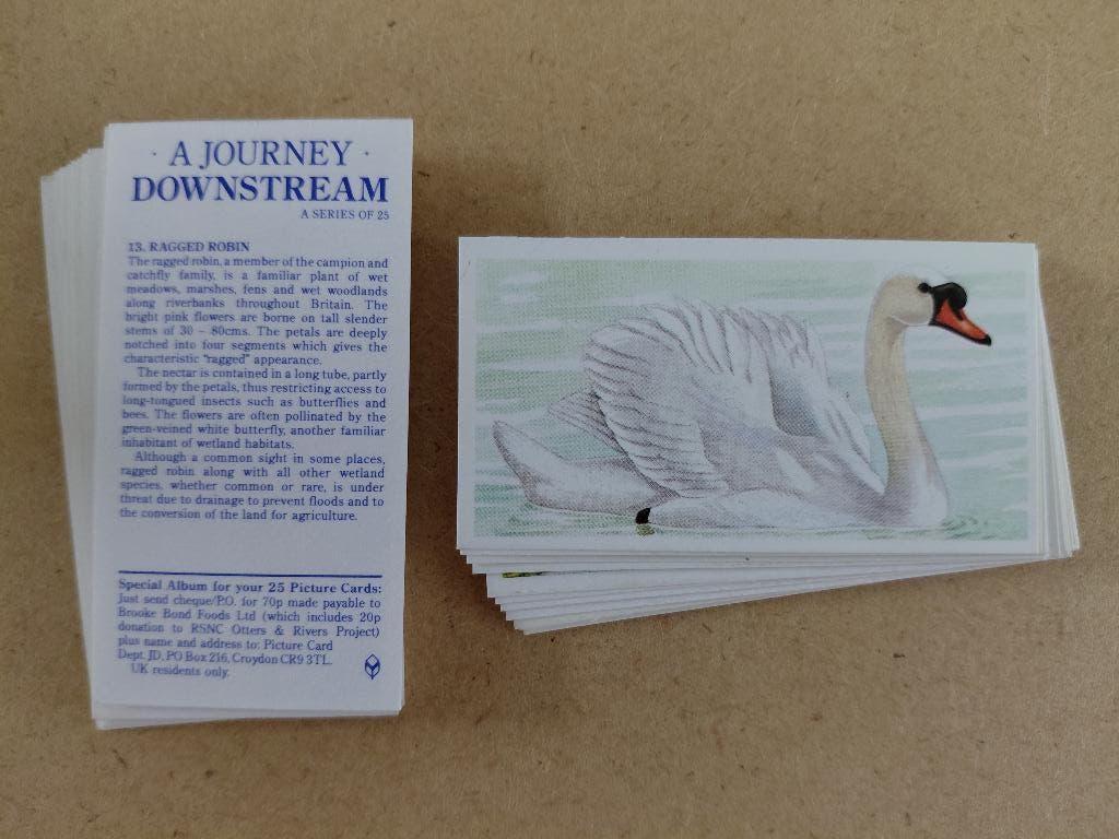 A Journey Downstream complete set 25 tea cards1990, Ophalen, Gebruikt