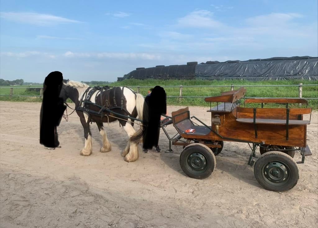 Menkar met handrem, Ophalen, Gebruikt, Overige soorten