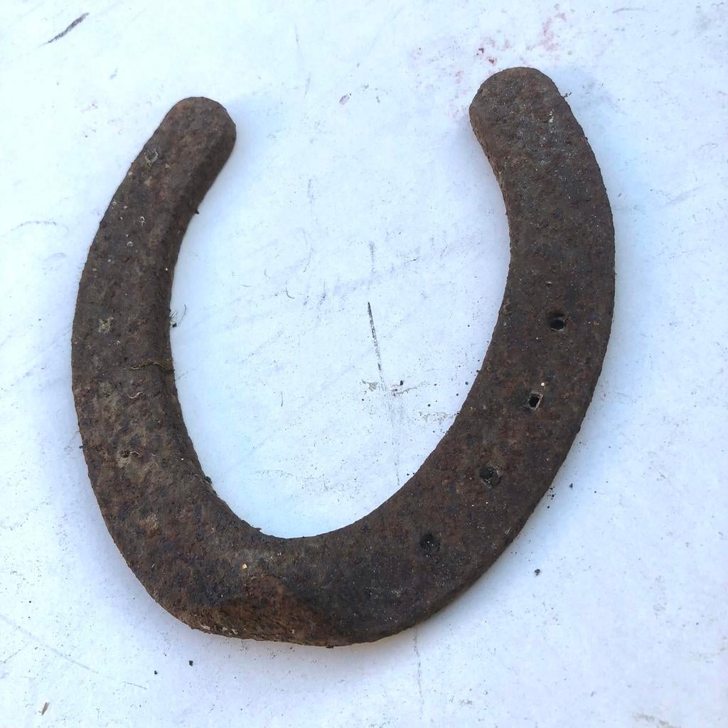 Hoefijzer, Ophalen of Verzenden, Overige soorten