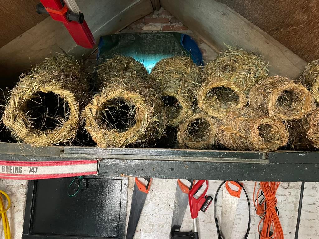 Eenden korf, Dieren en Toebehoren, Vogels | Overige Vogels, Meerdere dieren