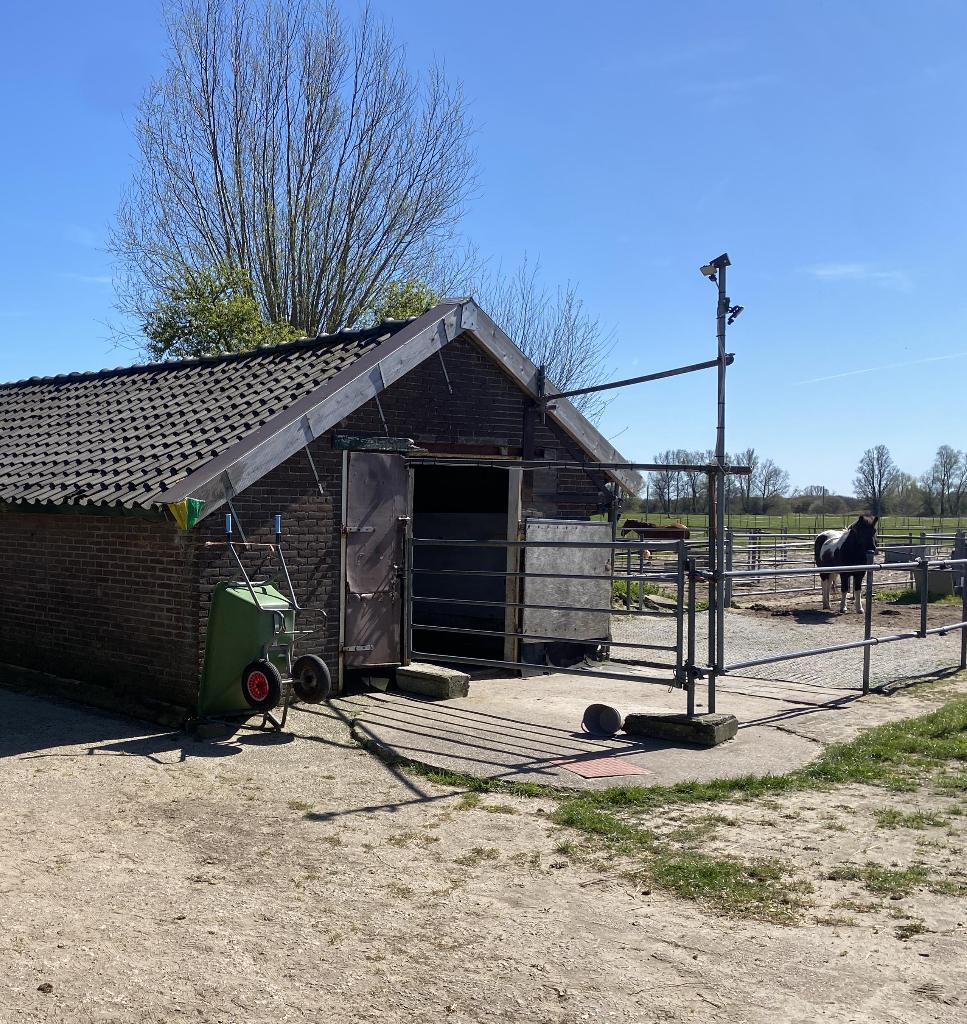 Inloopstal voor 2, max 3 pony's, eigen paddock, eigen weitje, Weidegang, 2 of 3 paarden of pony's