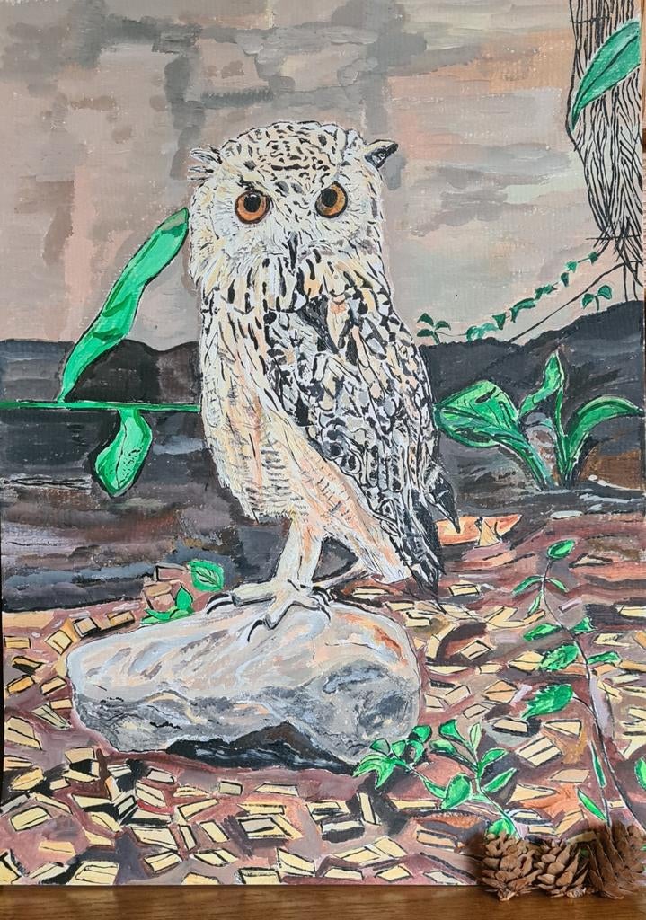 Uil op steen - Handgeschilderd kunstwerk, Ophalen