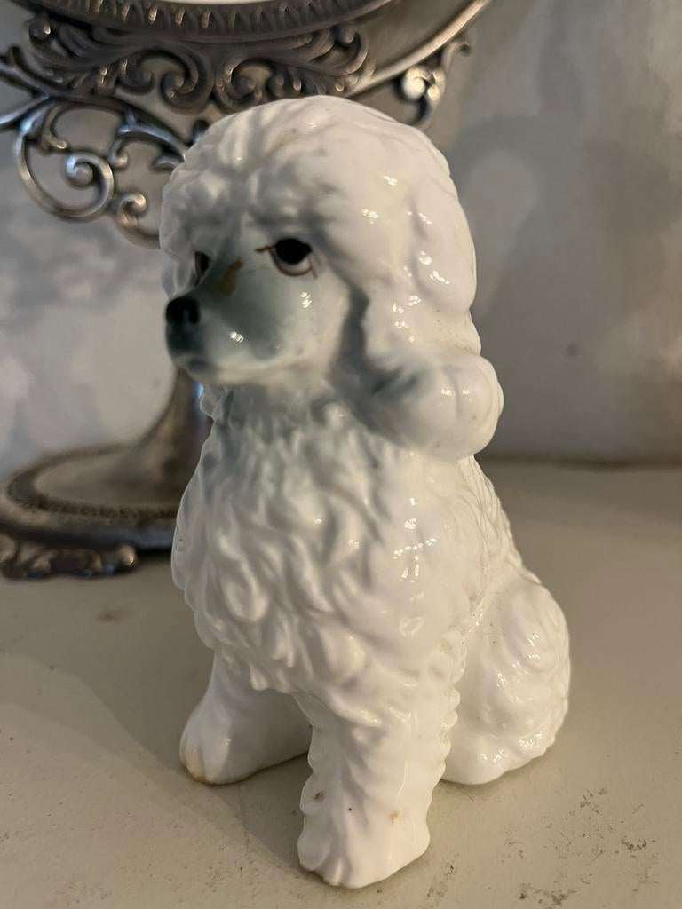 Schattig hondenbeeldje Poedel, Ophalen of Verzenden, Zo goed als nieuw, Dier