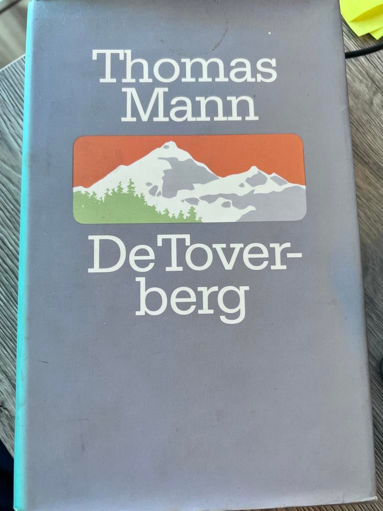 Thomas Mann - De Toverberg (Hardcover), Ophalen of Verzenden, Gelezen, Europa overig