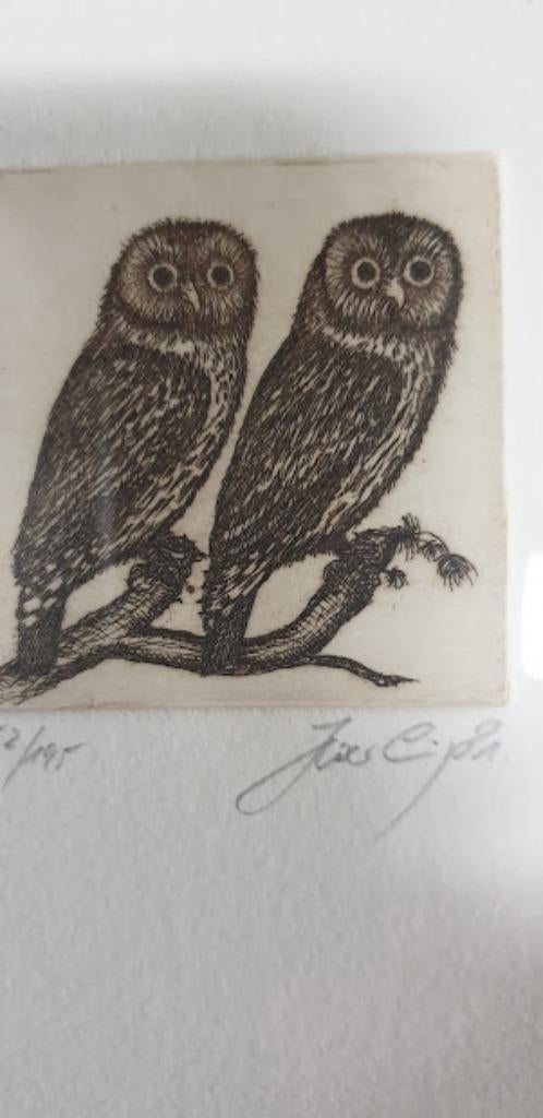 Uilen: 3 etsen van Hartmut Sparling in fraaie lijsten, Ophalen of Verzenden, Zo goed als nieuw, Vogel, Beeldje of Figuurtje