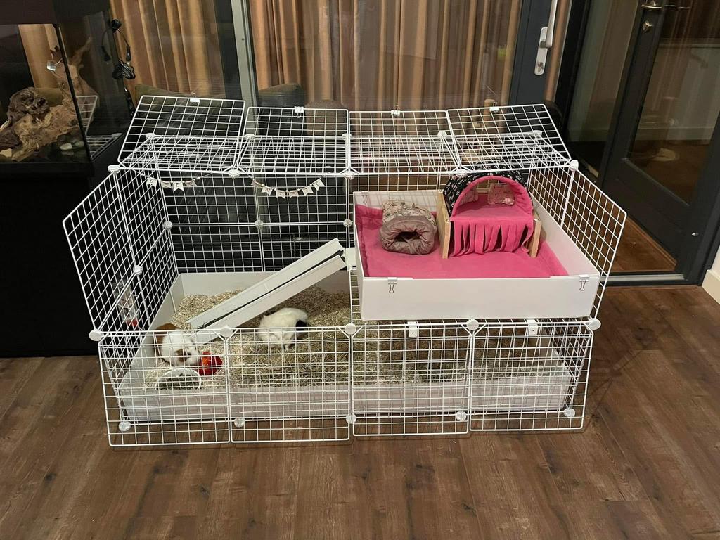 Cavia draadkubus hok, Dieren en Toebehoren, Knaagdieren en Konijnen | Hokken en Kooien, Kooi, Cavia, Ophalen, Minder dan 60 cm