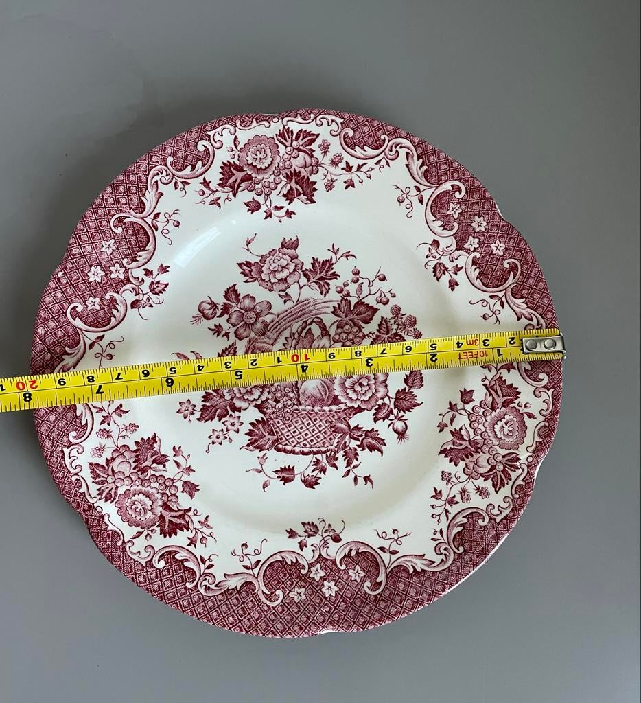 Bord "Bird of Paradise" van Johnson Brothers, Ophalen of Verzenden