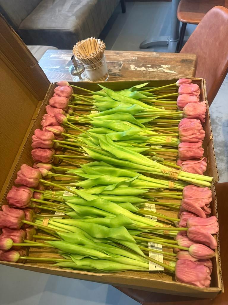 Paarse Tulpen - 47cm - 30 bosjes, Tuin en Terras, Planten | Tuinplanten, Vaste plant, Overige soorten, Volle zon, Ophalen of Verzenden