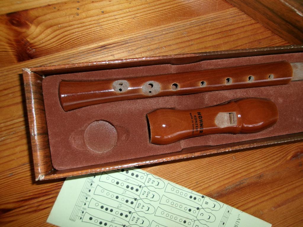 Hohner Blokfluit A Bec - Musica, Ophalen of Verzenden, Gebruikt, Sopraan of Sopranino, Met koffer, hoes of etui