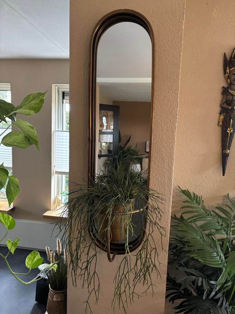 Spiegel met bloempot - Stijlvolle decoratie, Minder dan 50 cm, Gebruikt, 100 tot 150 cm, Ophalen of Verzenden