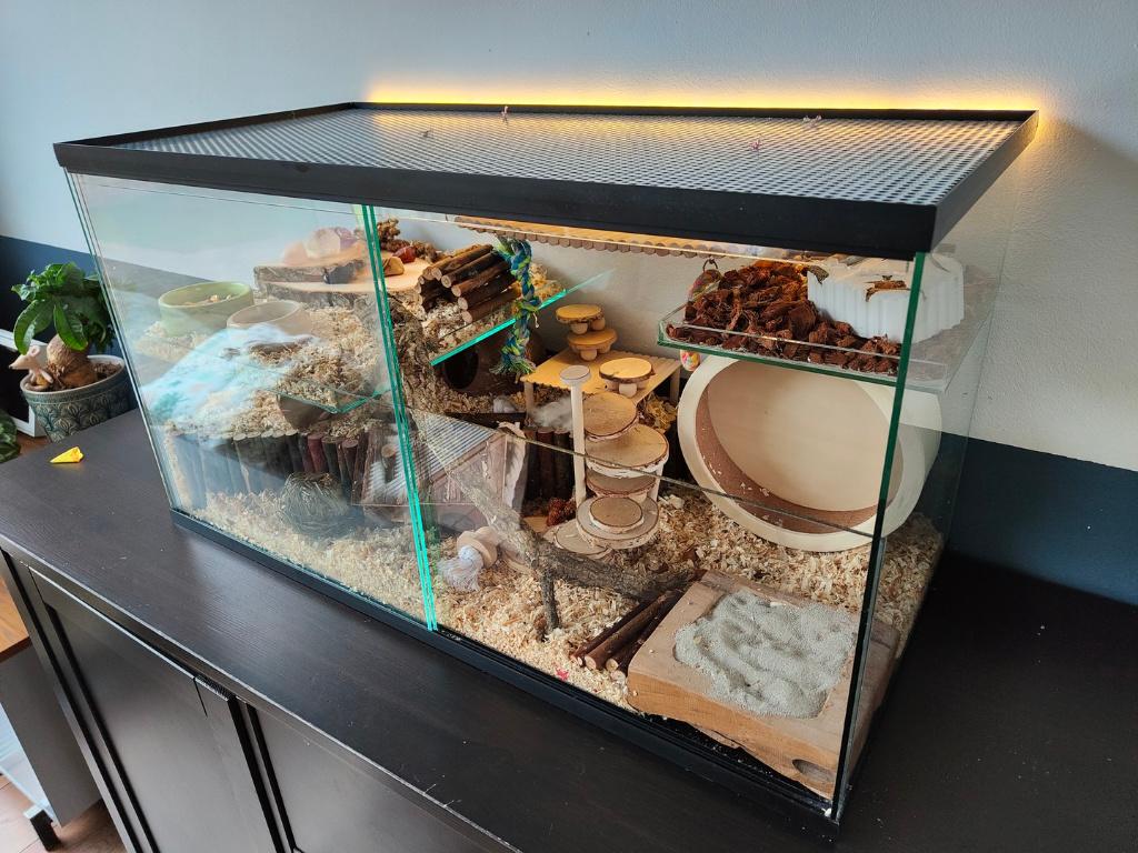 Gerbilarium / gerbil terrarium met schuifruiten, Dieren en Toebehoren, Ophalen of Verzenden, Nieuw, Hok, Minder dan 60 cm