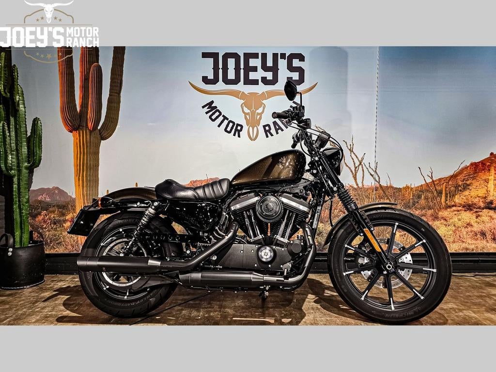 HARLEY-DAVIDSON SPORTSTER IRON XL 883 N (bj 2020), 2 cilinders, HARLEY-DAVIDSON, Bedrijf, Onbekend