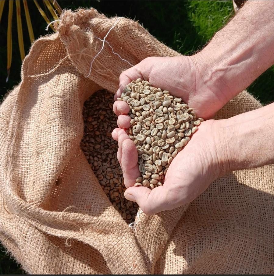 Peru Specialty Groene Arabica Koffiebonen €15 per kilo, Diversen, Ophalen of Verzenden