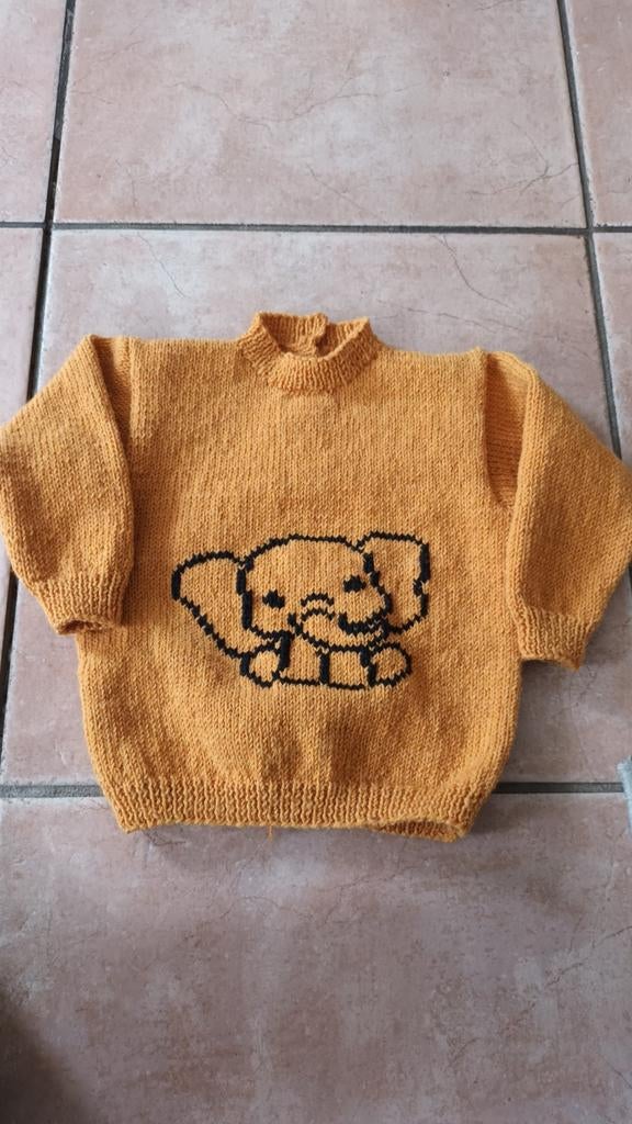 Een hand gebreid truitje nieuw, Kinderen en Baby's, Ophalen of Verzenden, Nieuw, Jongetje of Meisje, Truitje of Vestje