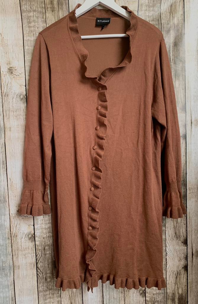 Nieuw Studio super mooi bruin lang vest (Maat 42/44), Kleding | Dames, Verzenden, Nieuw, Maat 42/44 (L), Bruin