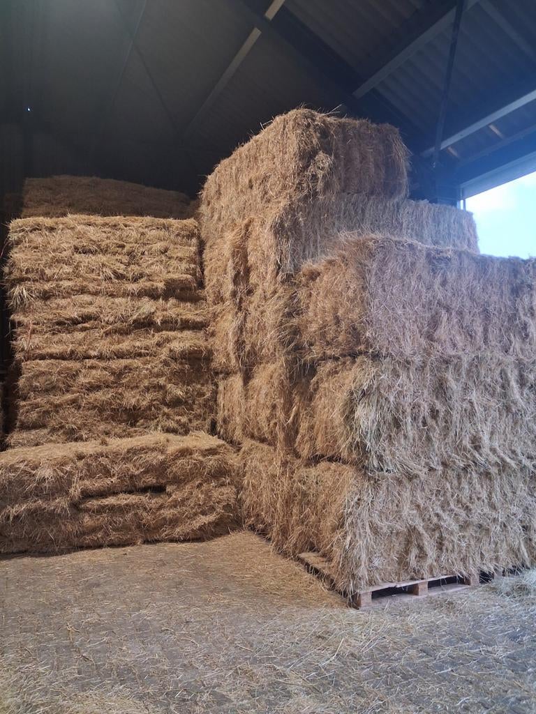 Suikerarm weidehooi, Frans weidehooi, hooibalen, Dieren en Toebehoren, Ophalen of Verzenden, Vee