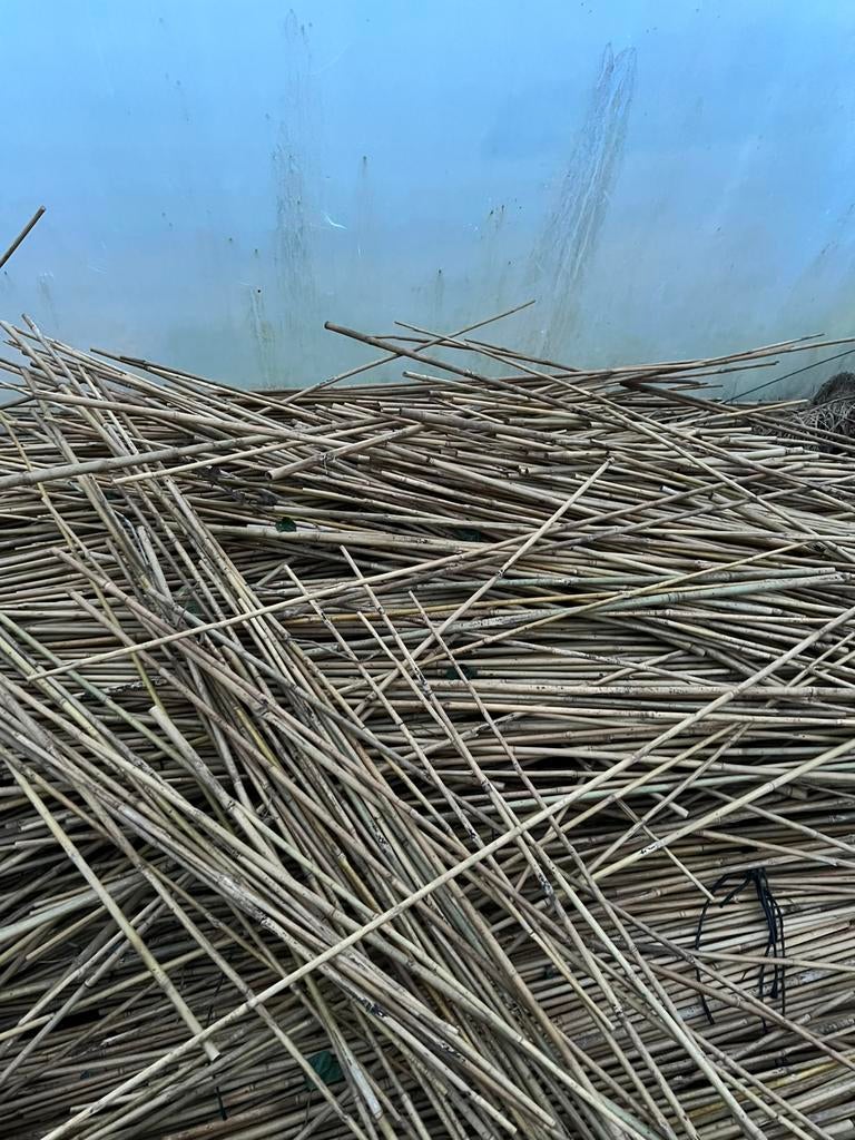 Bamboe stokken 150 cm lang, Tuin en Terras, Tuinschermen, Ophalen, Zo goed als nieuw, Overige materialen, 200 cm of meer