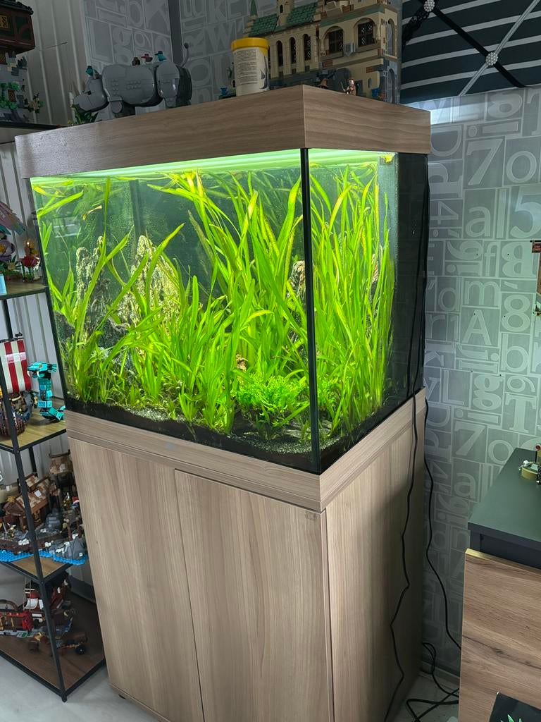 Juwel Lido 200 licht hout inclusief vissen, Dieren en Toebehoren, Vissen | Aquaria en Toebehoren, Ophalen, Gebruikt, Gevuld zoetwateraquarium