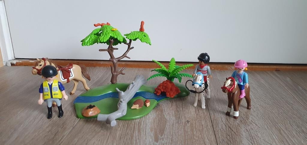 Playmobil 6947 5685 Ponyrijles, Kinderen en Baby's, Speelgoed | Playmobil, Ophalen of Verzenden, Zo goed als nieuw, Complete set