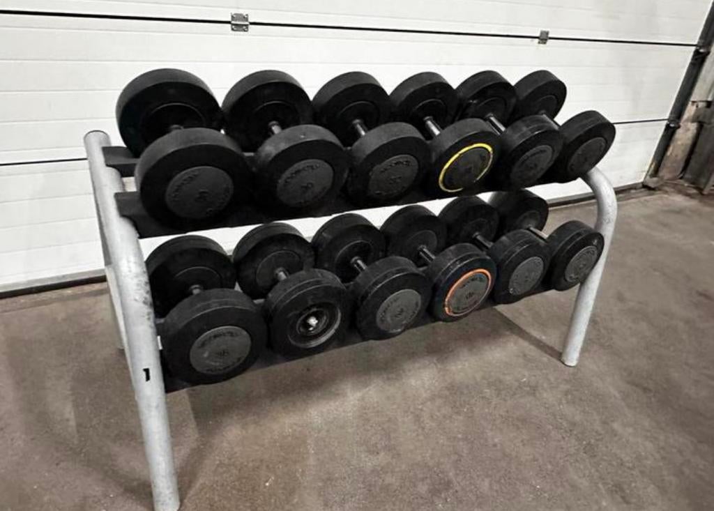 Technogym Dumbells 30kg t/m 42kg + Opbergrek, Sport en Fitness, Fitnessmaterialen, Ophalen, Gebruikt, Dumbbell