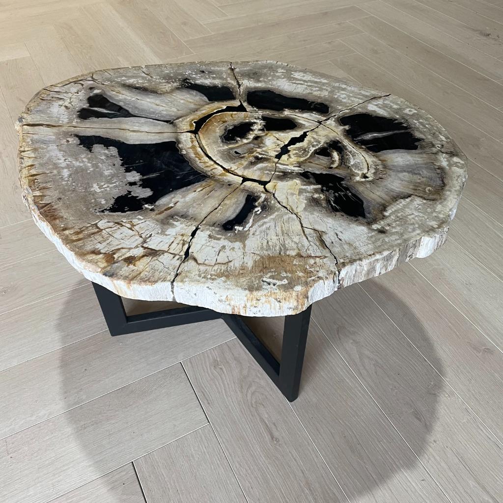 Versteend Hout Salontafels - Grote Voorraad!, 50 tot 100 cm, Rond, Nieuw, Minder dan 50 cm