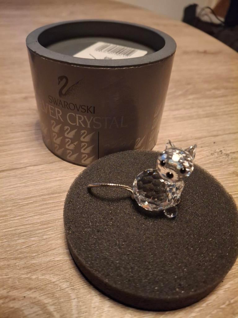 Swarovsi in box. Poes., Verzamelen, Ophalen of Verzenden, Gebruikt, Figuurtje
