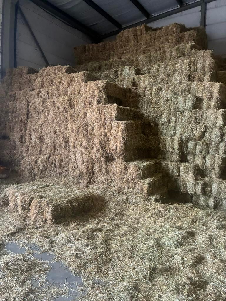 Kleine pakjes hooi en midi balen, Dieren en Toebehoren, Dierenvoeding, Ophalen, Vee