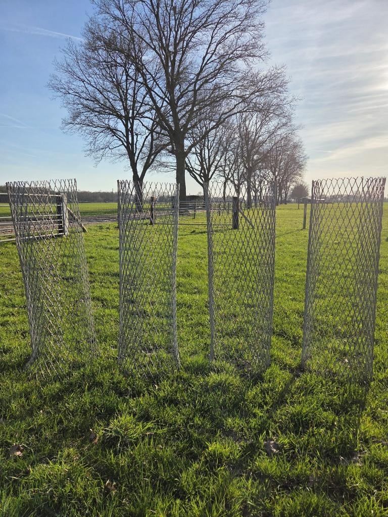 Boomkorven, Ophalen, Bloeit niet, Volle zon, Overige soorten