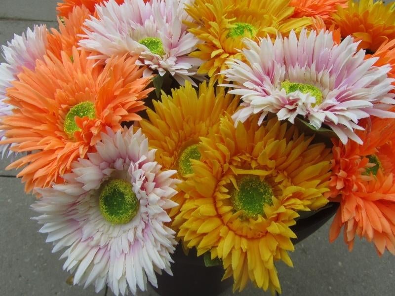 ASTERS - KUNST - 3 KLEUREN, Ophalen of Verzenden, Nieuw