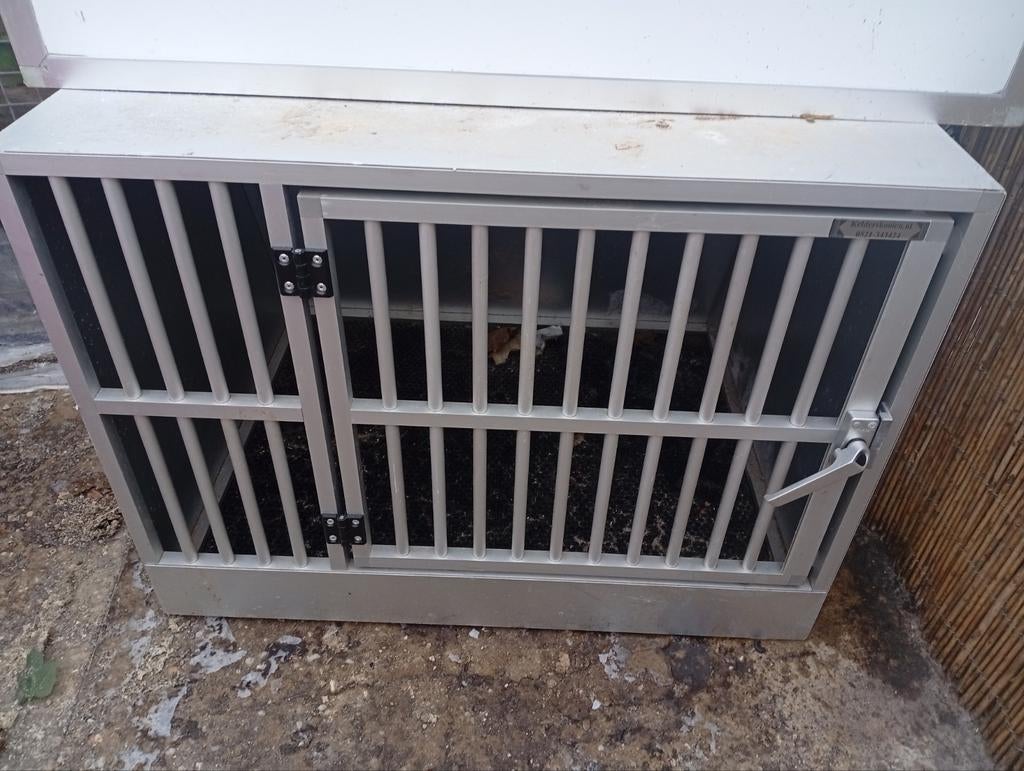 Kelders kooien autobench, Dieren en Toebehoren, Ophalen