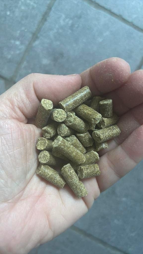 Renske Super Premium Zalm Graanvrij Hondenvoer, Ophalen, Hond