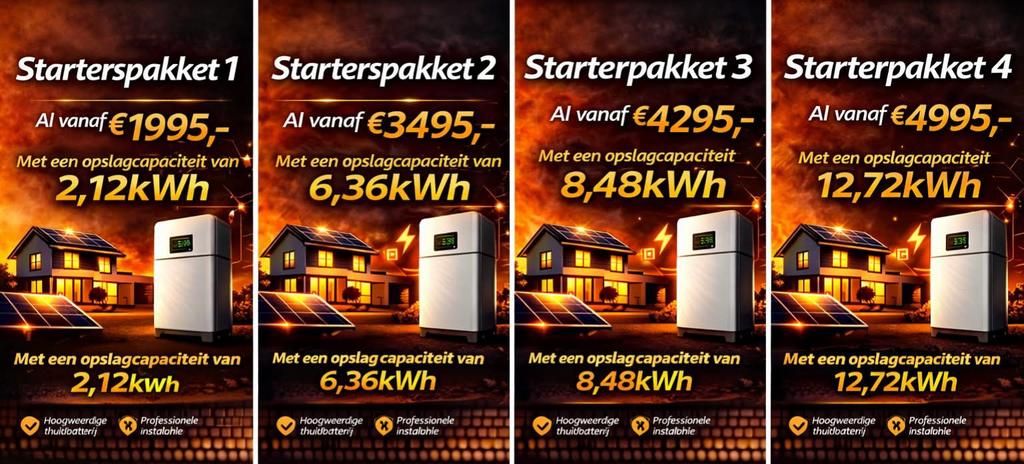 Thuisbatterij inclusief montage vanaf €1995,-, Ophalen, Nieuw, Collector