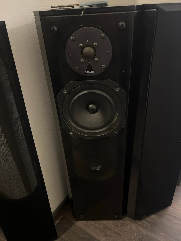 Driade Vloerstaande Luidspreker - Zwart, Audio, Tv en Foto, Luidsprekers, Gebruikt, 60 tot 120 watt, Front, Rear of Stereo speakers