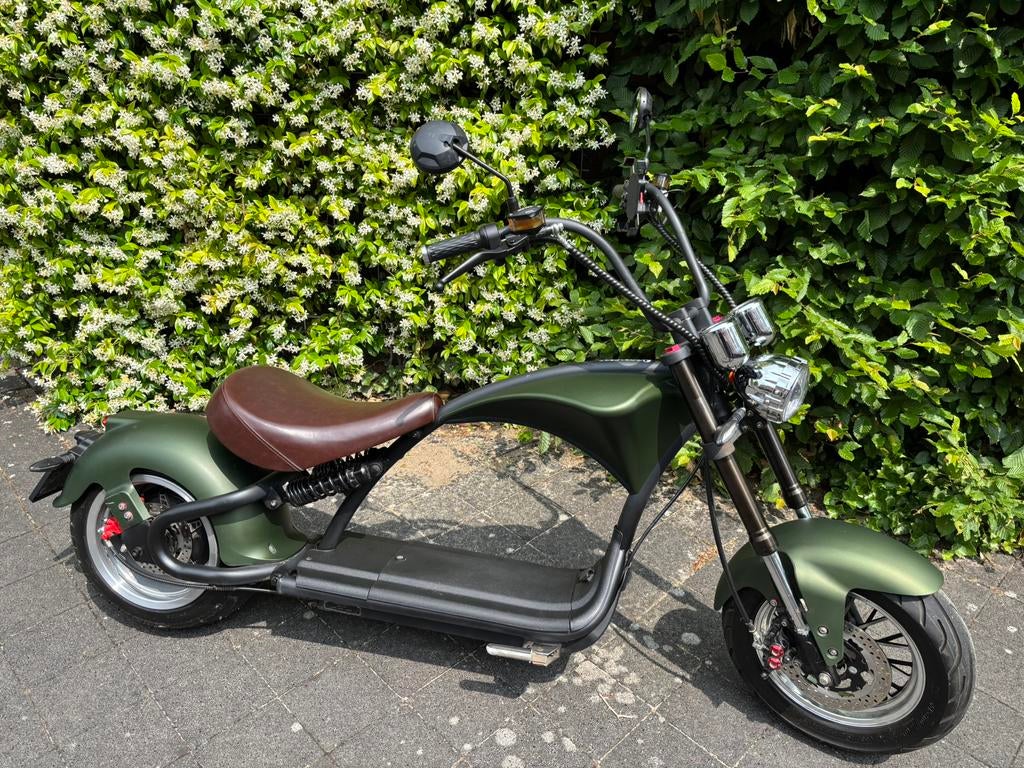 Elektrische Ecruiser Echopper 3.0, Fietsen en Brommers, Ophalen, Zo goed als nieuw, Benzine, Overige merken