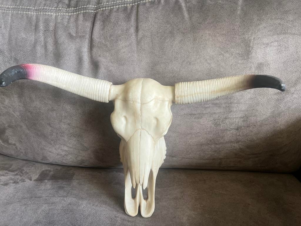 Vintage Decoratieve Stierenschedel/ Buffel Kunsthars., Ophalen of Verzenden, Zo goed als nieuw