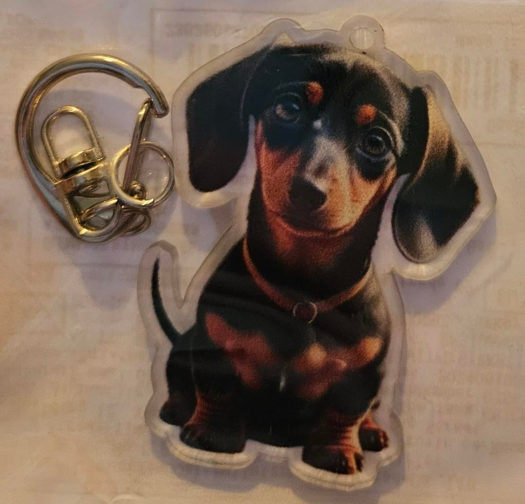 Sleutelhanger, Ophalen of Verzenden, Nieuw, Overige materialen, Overige merken