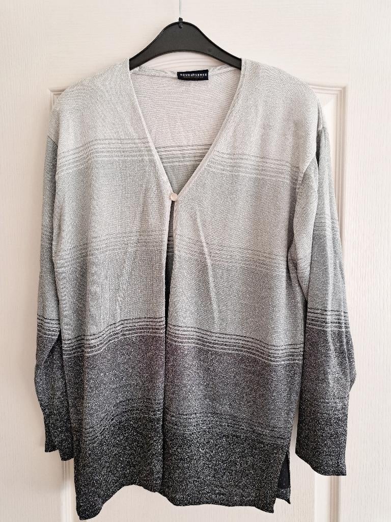 Grijs overlopend dames vest met glitters maat 44 46 XL zgan, Ophalen of Verzenden, Zo goed als nieuw, Maat 46/48 (XL) of groter