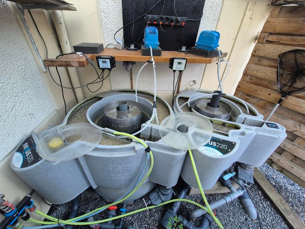 Koivijver silo vijver koi, Ophalen