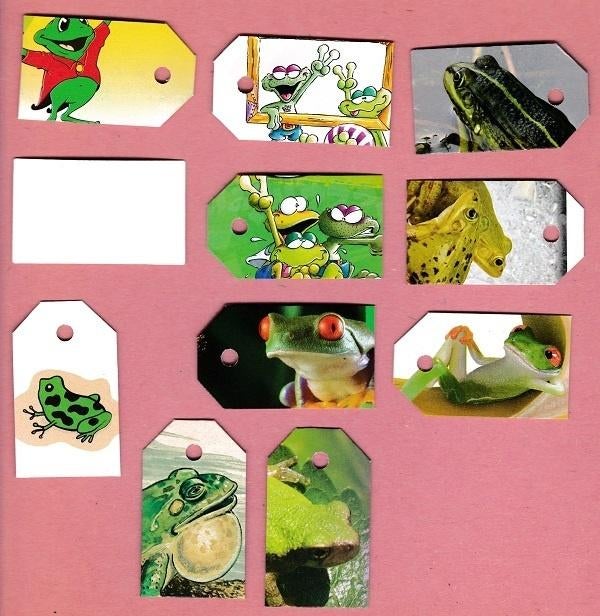9511) kikkers padden labeltjes, Ophalen of Verzenden, Zo goed als nieuw, Overige typen