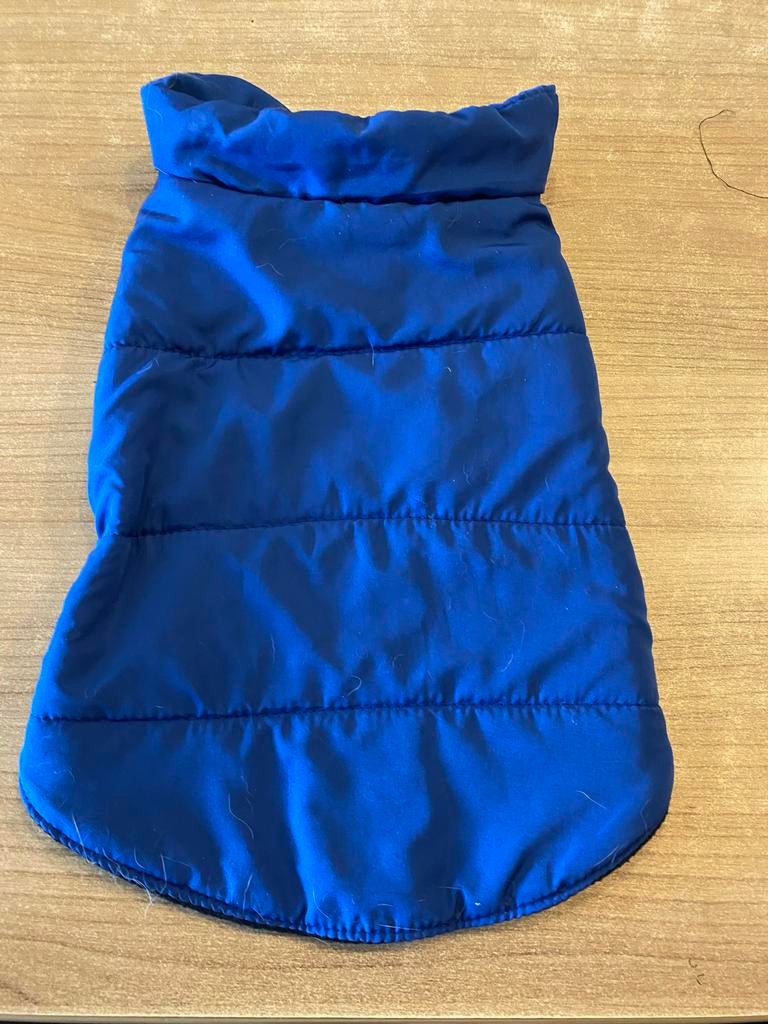 Honden jas, Ophalen of Verzenden, Hondenjas