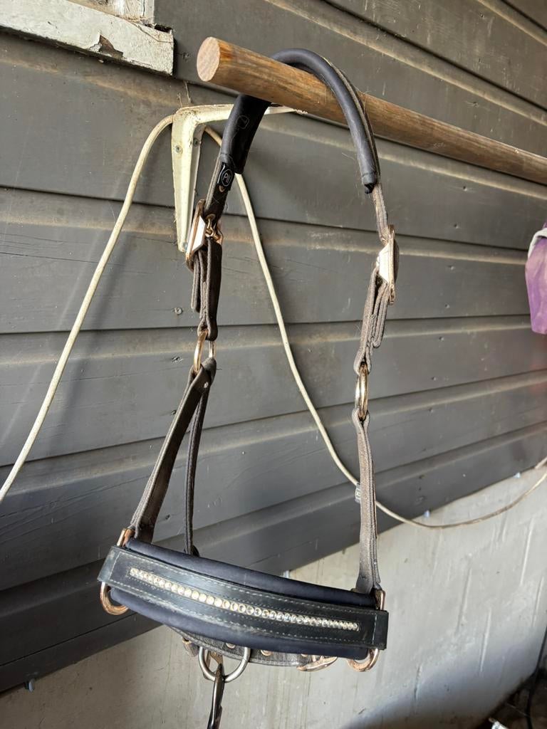 Eskadron pony halster zwart met een gloed erover heen, Dieren en Toebehoren, Ophalen of Verzenden, Zo goed als nieuw, Overige soorten