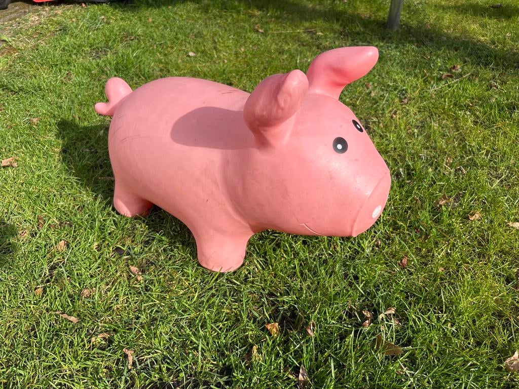 Rubberen speelvarken / skippybal voor kinderen, Ophalen, Gebruikt, Jongen of Meisje