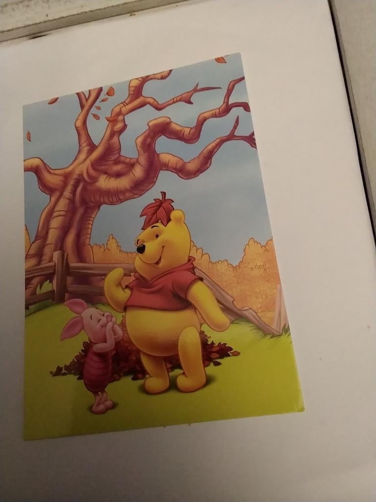 WINNIE THE POOH.   DISNEY, Ophalen of Verzenden, 1960 tot 1980
