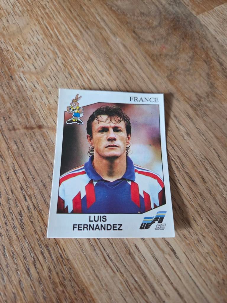 Panini EK 92, Hobby en Vrije tijd, Stickers en Plaatjes, Ophalen of Verzenden, Zo goed als nieuw, Sticker