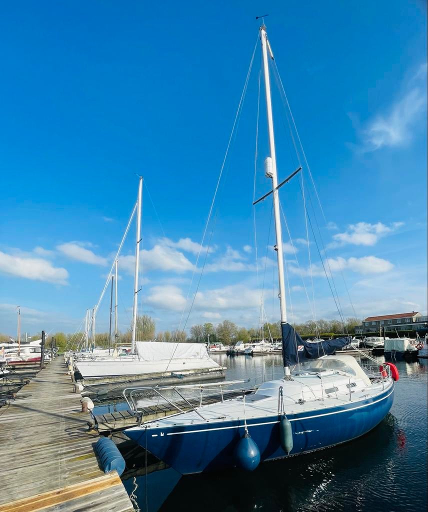 Albin Accent 26 kajuitzeilboot uit 1978, Ophalen, Gebruikt, Diesel, Tourjacht of Cruiser